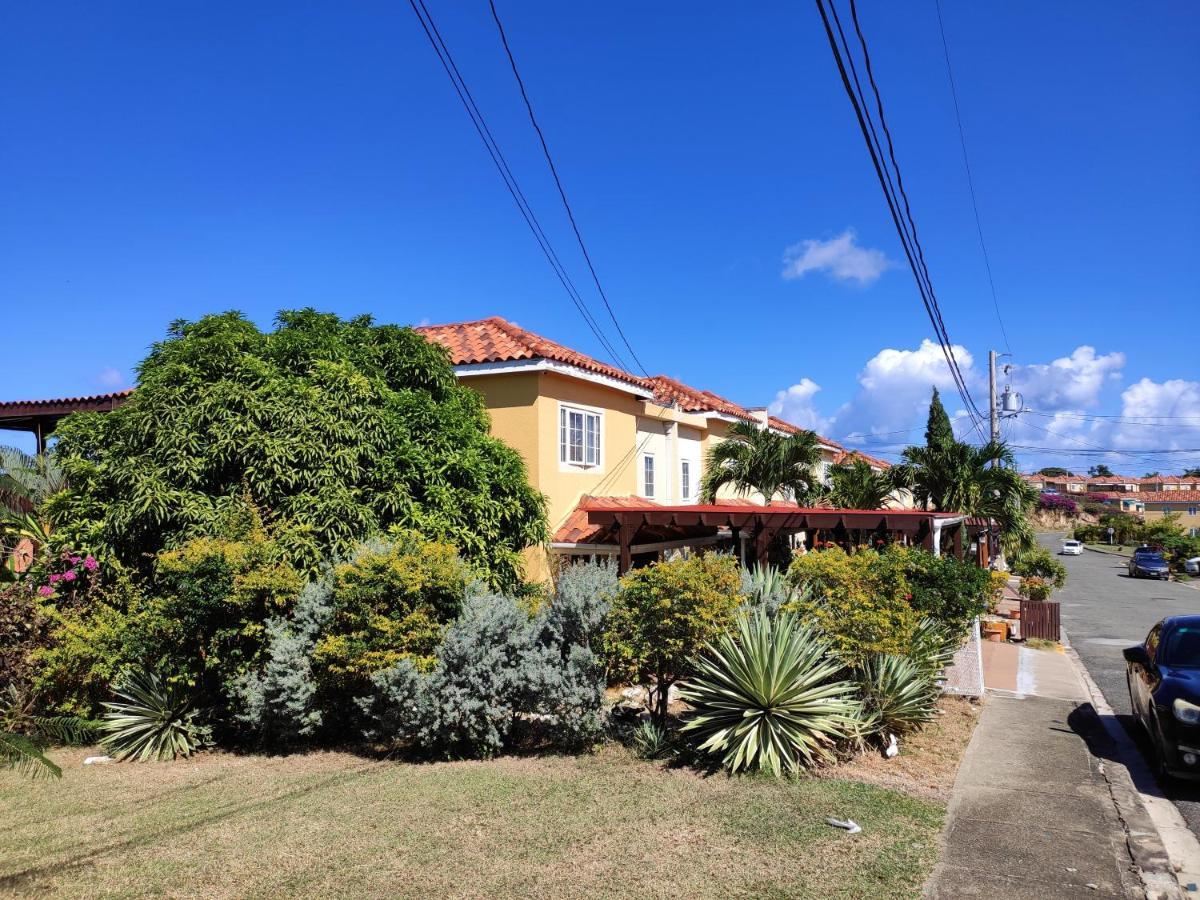 Montego Bay Garden Studio 외부 사진